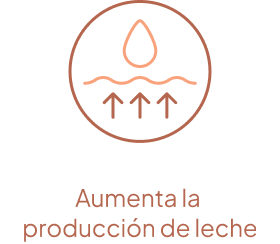 Aumenta la producción de leche