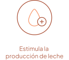 Estimula la producción de leche